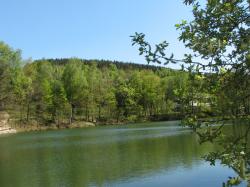 Eckhardt-Teich in Burkhardtsdorf